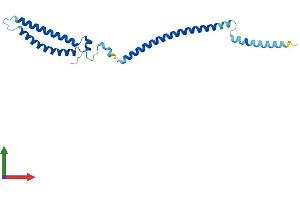 Protein Structure (PS) image for MIS12, MIND Kinetochore Complex Component, Homolog (MIS12) (AA 1-206) protein (His tag) (ABIN7560740)