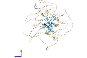 Protein Structure (PS) image for Basonuclin 1 (BNC1) (AA 1-994) protein (His tag) (ABIN7552703)