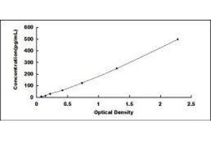 Interferon, beta 1, Fibroblast (IFNB1) ELISA Kit