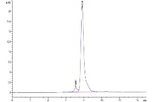 Size-exclusion chromatography-High Pressure Liquid Chromatography (SEC-HPLC) image for Adhesion Molecule with Ig-Like Domain 2 (AMIGO2) (AA 39-397) protein (His tag) (ABIN7273828)