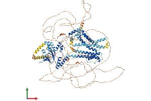 Protein Structure (PS) image for Hyperpolarization Activated Cyclic Nucleotide-Gated Potassium Channel 4 (HCN4) (AA 1-1186) protein (His tag) (ABIN7562559)