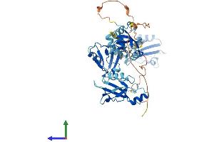 Protein Structure (PS) image for PDZ Domain Containing 1 (PDZK1) (AA 1-519) protein (His tag) (ABIN7554769)