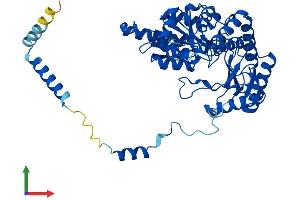 Protein Structure (PS) image for serine Palmitoyltransferase, Long Chain Base Subunit 1 (SPTLC1) (AA 1-473) protein (His tag) (ABIN7562366)
