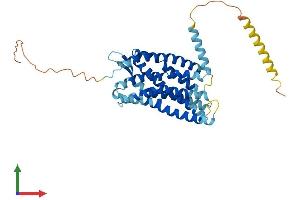 Protein Structure (PS) image for Chemokine Binding Protein 2 (CCBP2) (AA 1-378) protein (His tag) (ABIN7562194)