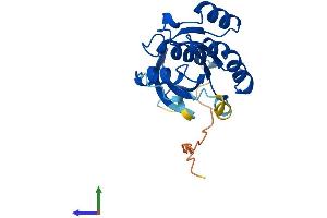 Protein Structure (PS) image for RAB1B, Member RAS Oncogene Family (RAB1B) (AA 1-201) protein (His tag) (ABIN7560882)