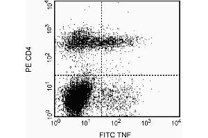 Expression of TNF by stimulated CD4+ and CD4- BALB/c spleen cells. (TNF alpha 抗体)