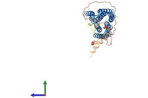Protein Structure (PS) image for G Protein-Coupled Receptor, Family C, Group 5, Member D (GPRC5D) (AA 1-344) protein (His tag) (ABIN7561549)