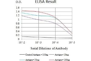 Black line: Control Antigen (100 ng),Purple line: Antigen (10 ng), Blue line: Antigen (50 ng), Red line:Antigen (100 ng) (ITGA4 抗体  (AA 833-977))