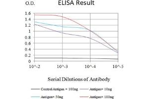 Black line: Control Antigen (100 ng),Purple line: Antigen (10 ng), Blue line: Antigen (50 ng), Red line:Antigen (100 ng) (Albumin 抗体  (AA 410-609))
