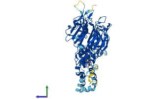 Protein Structure (PS) image for Gigaxonin (GAN) (AA 1-597) protein (His tag) (ABIN7547904)