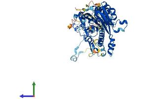 Protein Structure (PS) image for CCR4-NOT Transcription Complex, Subunit 6 (CNOT6) (AA 1-557) protein (His tag) (ABIN7564656)