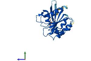 Protein Structure (PS) image for ADP-Ribosylation Factor-Like 9 (ARL9) (AA 1-187) protein (His tag) (ABIN7552323)