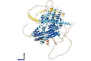 AlphaFold protein structure predicition of Human Recombinant DDX11 Protein, UniprotID Q96FC9