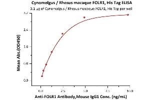 Immobilized Cynomolgus / Rhesus macaque FOLR1, His Tag (ABIN5674653,ABIN6386457) at 1 μg/mL (100 μL/well) can bind A Antibody,Mouse IgG1 with a linear range of 0.