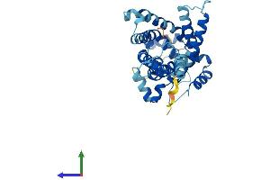 Protein Structure (PS) image for Solute Carrier Family 25, Member 43 (SLC25A43) (AA 1-341) protein (His tag) (ABIN7551713)