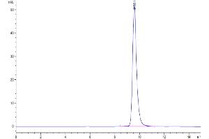 Size-exclusion chromatography-High Pressure Liquid Chromatography (SEC-HPLC) image for Poliovirus Receptor-Related Immunoglobulin Domain Containing (PVRIG) (AA 41-171) protein (His tag) (ABIN7275503)