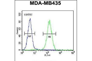 Flow cytometric analysis of MDA-MB435 cells (right histogram) compared to a negative control cell (left histogram). (SMYD4 抗体  (C-Term))