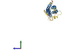 Protein Structure (PS) image for Na+/K+ Transporting ATPase Interacting 2 (NKAIN2) (AA 1-208) protein (His tag) (ABIN7557393)