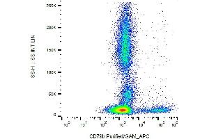 Flow cytometry analysis (surface staining) of CD79b in human peripheral blood with anti-CD79b (CB3-1) purified / GAM-APC. (CD79b 抗体)