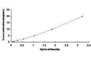 Integrin alpha M (ITGAM) ELISA Kit