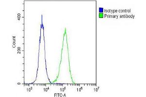 Overlay histogram showing Hela cells stained with Antibody (green line). (DEPDC5 抗体  (C-Term))