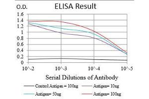 Black line: Control Antigen (100 ng), Purple line: Antigen(10 ng), Blue line: Antigen (50 ng), Red line: Antigen (100 ng), (PER3 抗体  (AA 723-954))