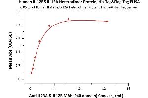 Immobilized Human IL-12B&IL-12A Heterodimer Protein, His Tag&Flag Tag (ABIN2181328,ABIN3071736,ABIN2693594) at 0.