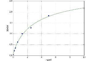A typical standard curve (Ladinin 1 ELISA 试剂盒)