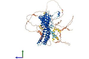 Protein Structure (PS) image for Pleckstrin Homology Domain Containing, Family G (With RhoGef Domain) Member 6 (PLEKHG6) (AA 1-790) protein (His tag) (ABIN7555007)