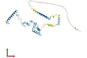 Protein Structure (PS) image for Small Nuclear Ribonucleoprotein 48kDa (U11/U12) (SNRNP48) (AA 1-337) protein (His tag) (ABIN7560941)