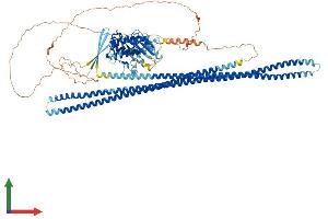 Protein Structure (PS) image for Serine/threonine Kinase 10 (STK10-A) (AA 1-968) protein (His tag) (ABIN7555621)