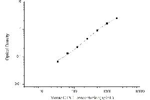 ELISA image for Cross-Linked C-Telopeptides of Type I Collagen (CTX-I) ELISA Kit (ABIN6963046)