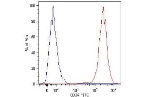 Flow Cytometry analysis Surface staining of Kg-1a human acute myelogenous leukemia cell line with anti-human CD34 (4H11[APG]) FITC. (CD34 抗体  (FITC))