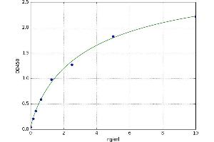 A typical standard curve (LILRB2 ELISA 试剂盒)