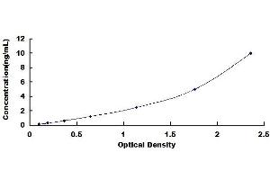 Typical standard curve (Keratin 2 ELISA 试剂盒)