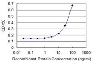 Detection limit for recombinant GST tagged ZNF8 is 3 ng/ml as a capture antibody. (ZNF8 抗体  (AA 82-180))