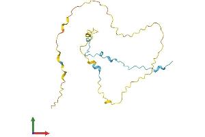Protein Structure (PS) image for Coordinator of PRMT5, Differentiation Stimulator (COPRS) (AA 1-184) protein (His tag) (ABIN7546629)