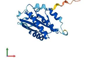 AlphaFold protein structure predicition of Mouse Recombinant Cenpm Protein, UniprotID Q9CQA0
