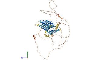 Protein Structure (PS) image for SP110 Nuclear Body Protein (SP110) (AA 1-689) protein (His tag) (ABIN7546262)