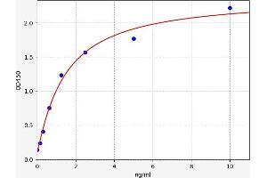 Typical standard curve (CACNA1A ELISA 试剂盒)