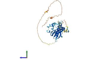 Protein Structure (PS) image for BCL2/adenovirus E1B 19kDa Interacting Protein 2 (BNIP2) (AA 1-314) protein (His tag) (ABIN7552740)
