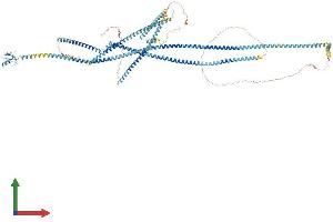 AlphaFold protein structure predicition of Human Recombinant RNF40 Protein, UniprotID O75150