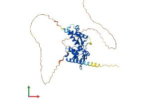 Protein Structure (PS) image for Melanoma Antigen Family A, 10 (MAGEA10) (AA 1-369) protein (His tag) (ABIN7549292)
