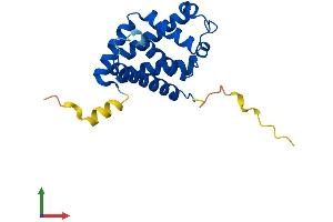 Protein Structure (PS) image for Cytoglobin (CYGB) (AA 1-190) protein (His tag) (ABIN7560705)