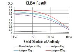 Black line: Control Antigen (100 ng),Purple line: Antigen (10 ng), Blue line: Antigen (50 ng), Red line:Antigen (100 ng)