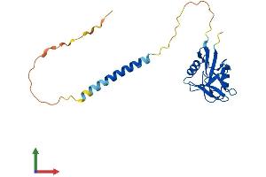 Protein Structure (PS) image for Killer Cell Lectin-Like Receptor Subfamily B Member 1F (KLRB1F) (AA 1-217) protein (His tag) (ABIN7559852)