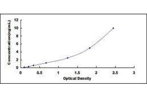 Mucin 5AC, Oligomeric Mucus/gel-Forming (MUC5AC) ELISA Kit