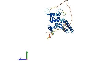 AlphaFold protein structure predicition of Human Recombinant NSMCE3 Protein, UniprotID Q96MG7