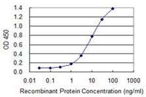 Detection limit for recombinant GST tagged DLX6 is 0. (DLX6 抗体  (AA 71-160))