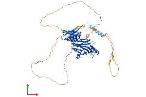 AlphaFold protein structure predicition of Human Recombinant SYN3 Protein, UniprotID O14994
